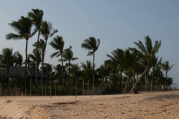 Quelle croisière propose des ateliers de fabrication de bijoux avec des artisans touaregs?